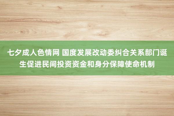 七夕成人色情网 国度发展改动委纠合关系部门诞生促进民间投资资金和身分保障使命机制