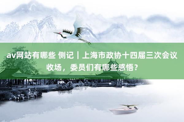 av网站有哪些 侧记｜上海市政协十四届三次会议收场，委员们有哪些感悟？