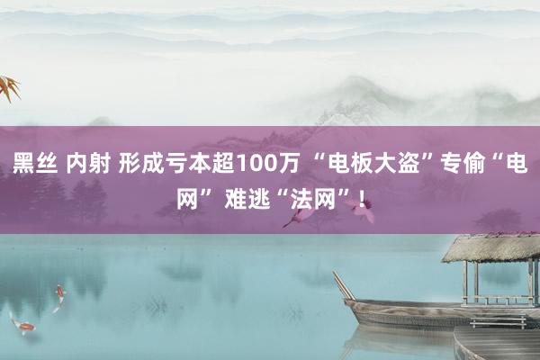 黑丝 内射 形成亏本超100万 “电板大盗”专偷“电网” 难逃“法网”！