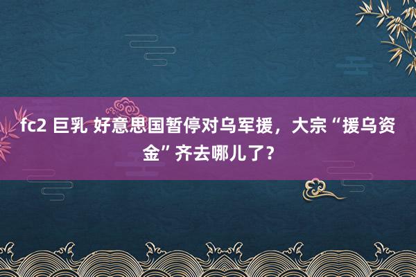 fc2 巨乳 好意思国暂停对乌军援，大宗“援乌资金”齐去哪儿了？