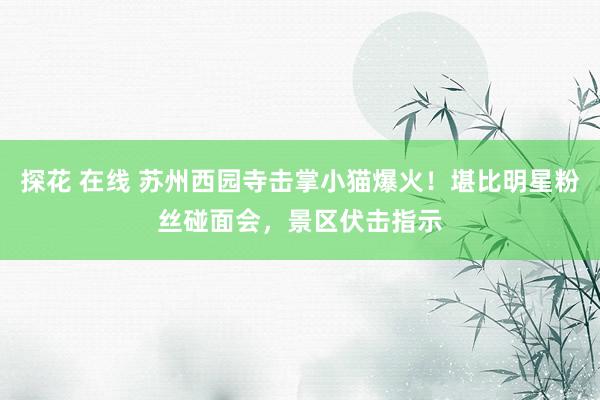 探花 在线 苏州西园寺击掌小猫爆火！堪比明星粉丝碰面会，景区伏击指示